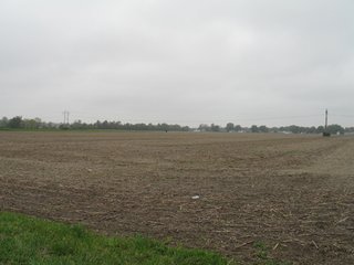 Property photo 8 - 76.8 +/- Acres Mostly Tillable - Land Auction